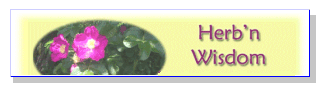 Herb 'n Wisdom