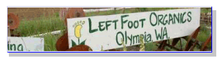 Left Foot Organics